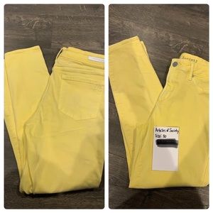 Articles of Society Skinny Jeans